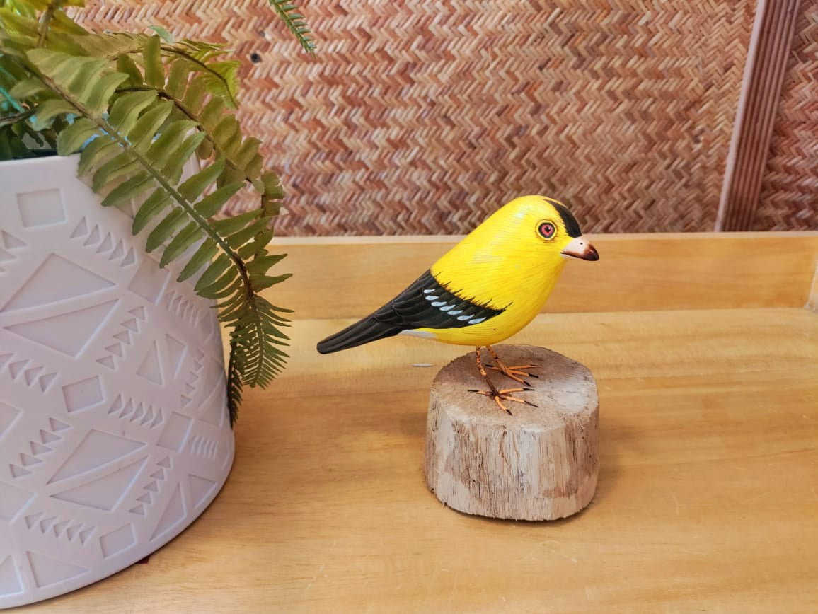 Canary