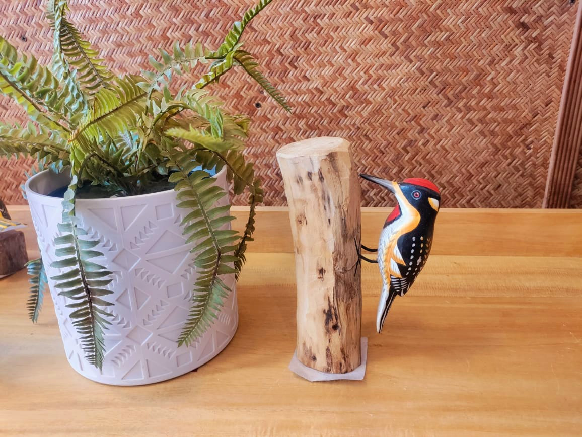 Woodpecker